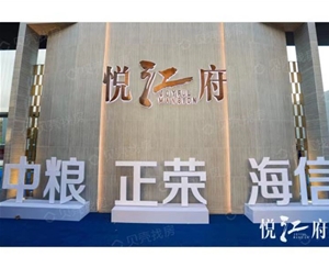 芜湖芜湖南京悦江府项目